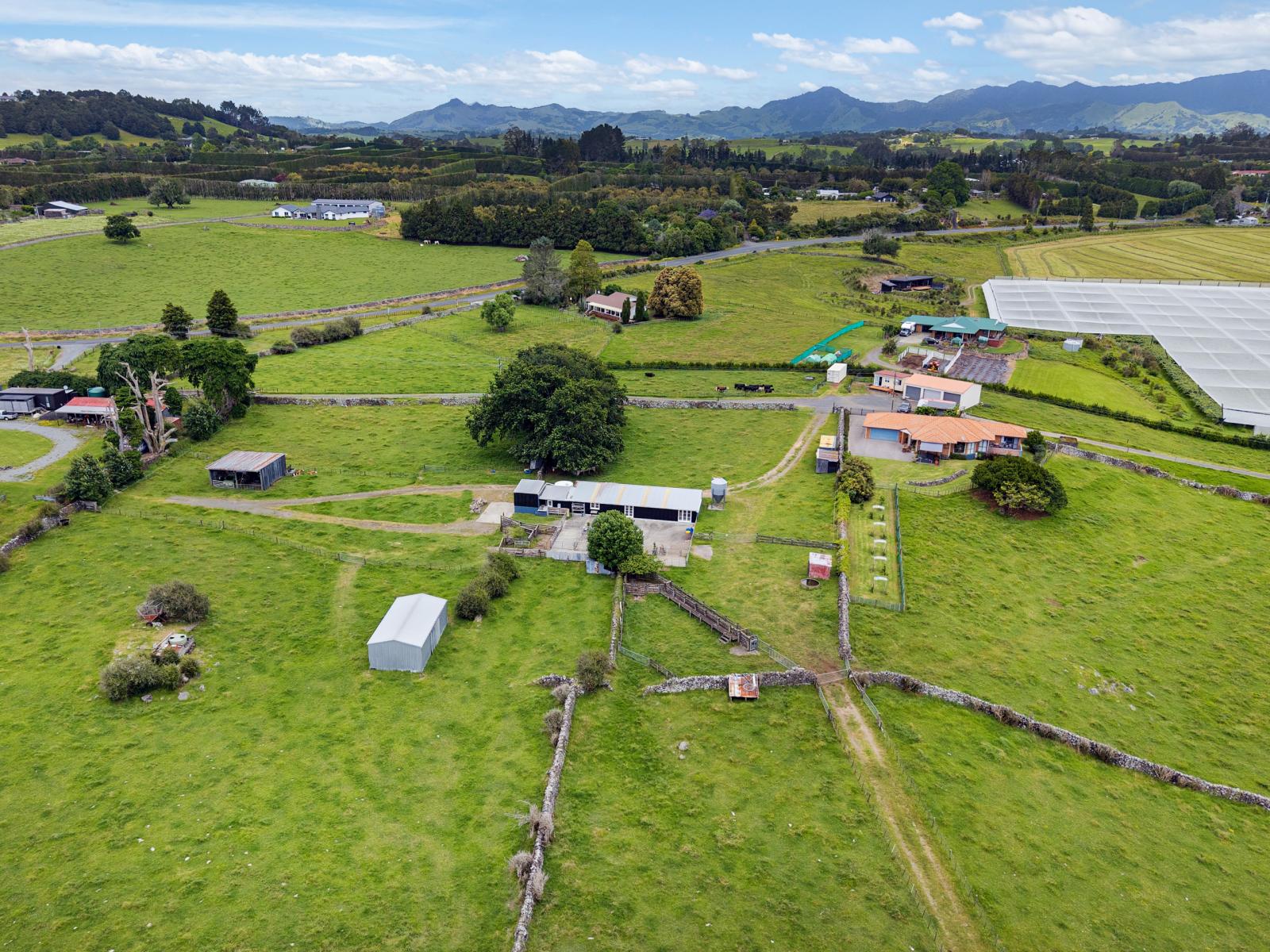 54 Tatton Road, Maungatapere