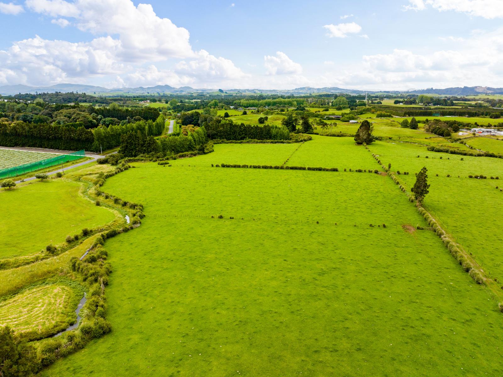 54 Tatton Road, Maungatapere