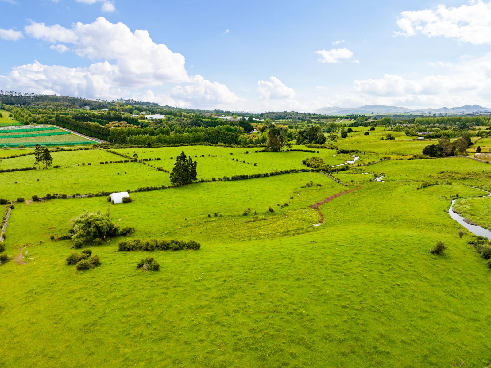 54 Tatton Road, Maungatapere