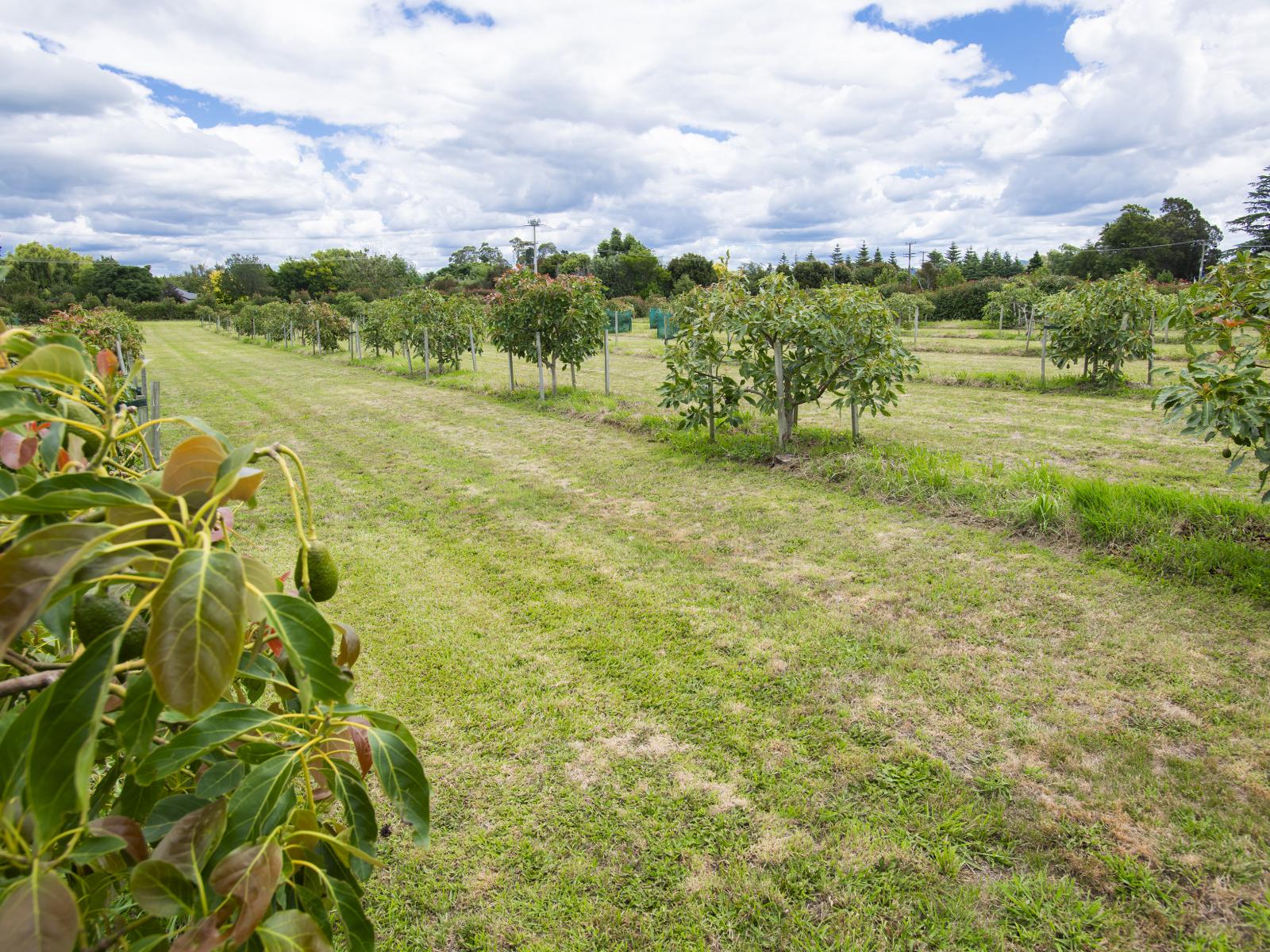 547 Nelson Road, Lytton West 