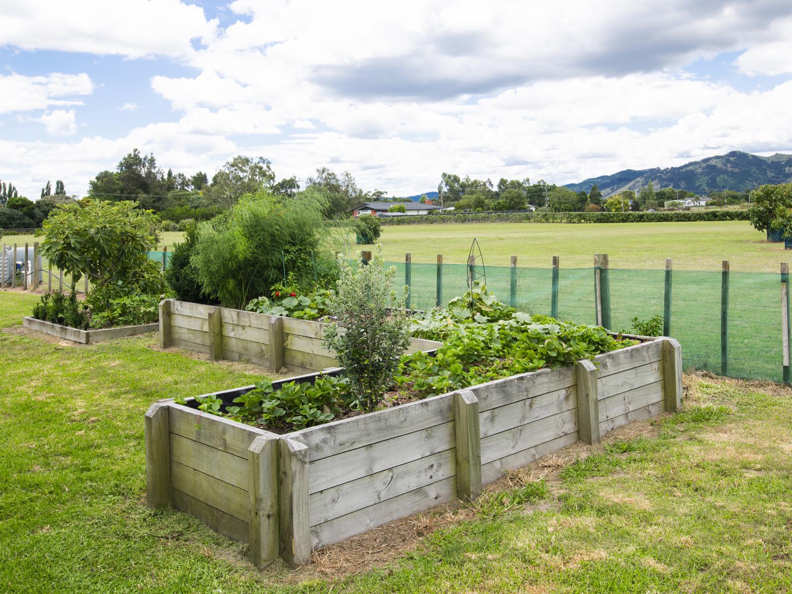 547 Nelson Road, Lytton West 