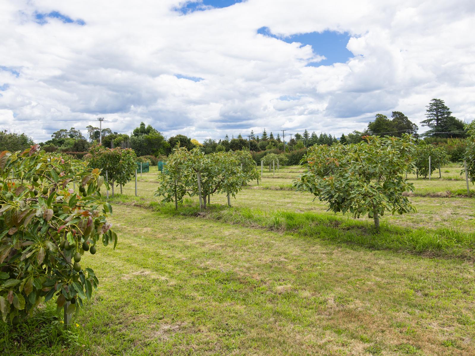 547 Nelson Road, Lytton West 