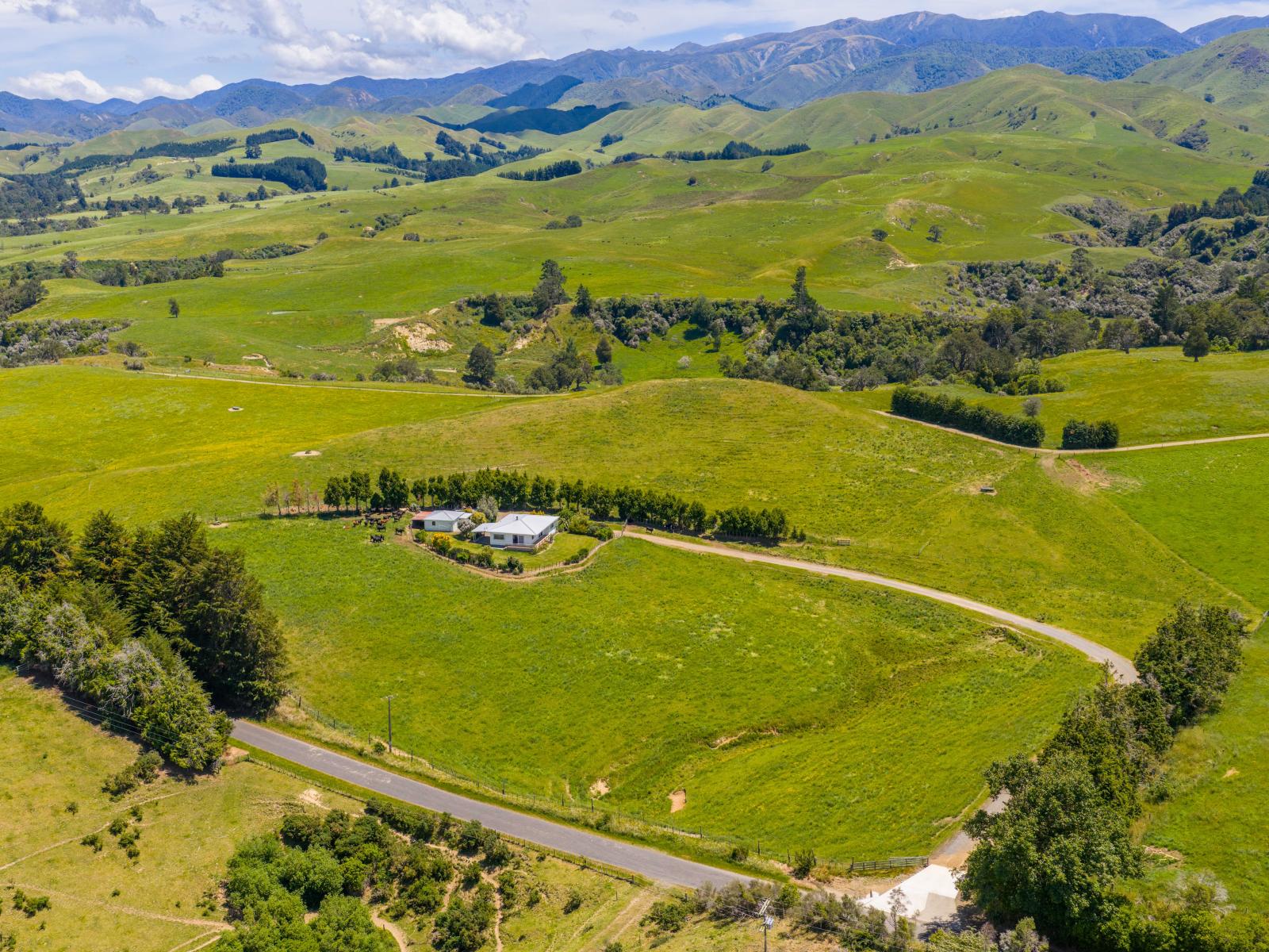 214 Clinton-Makaretu Road, Ashley Clinton