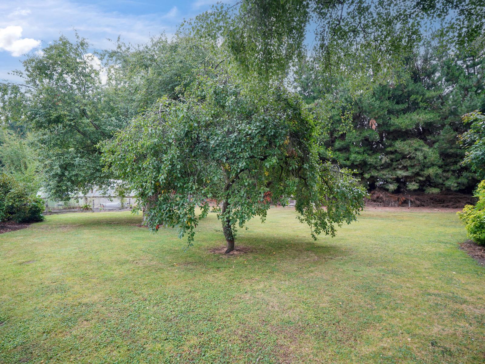 147 Thomsons Crossing Road West, Thomsons Crossing