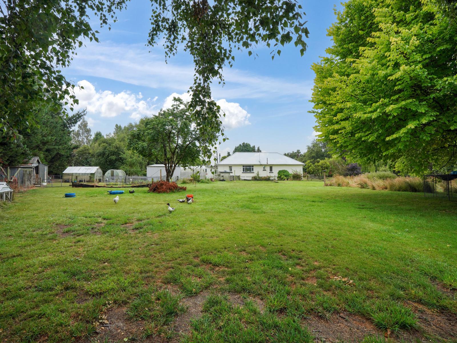 147 Thomsons Crossing Road West, Thomsons Crossing