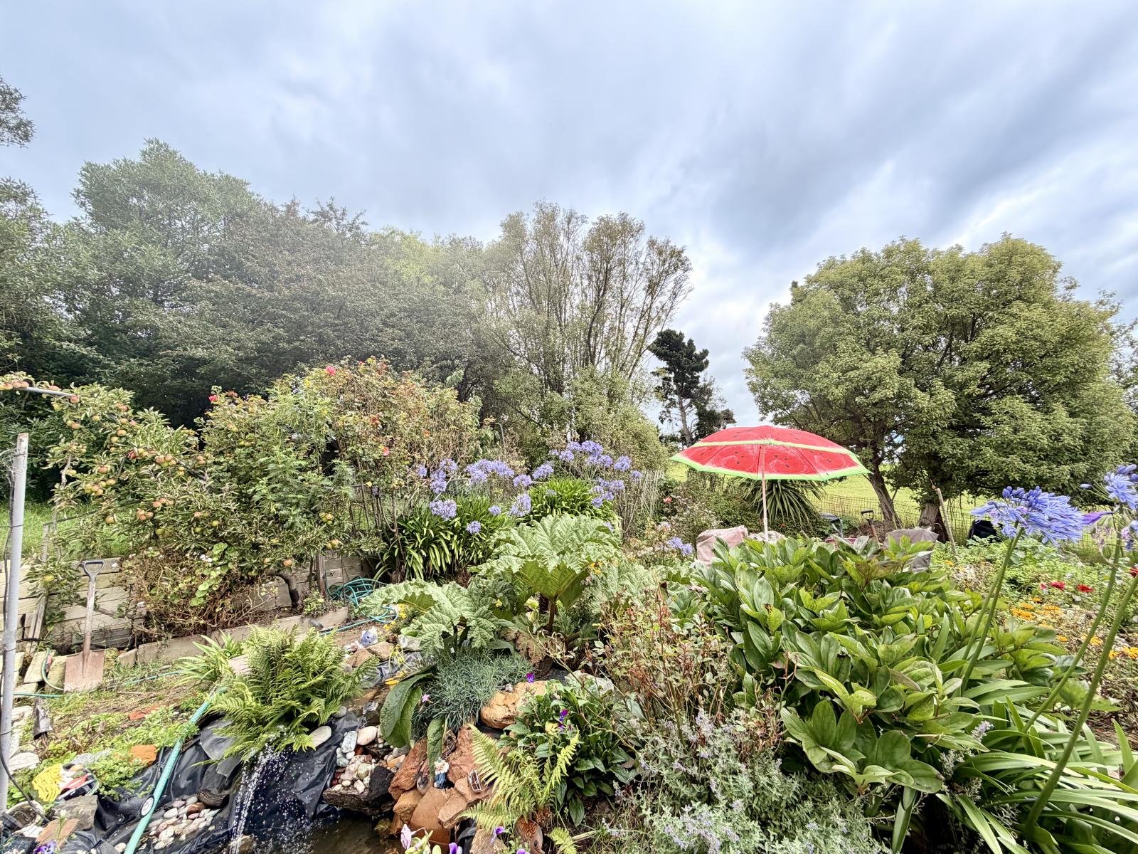 42 Jessop Street, Oamaru