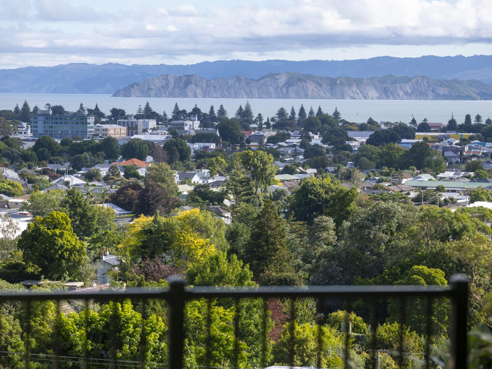 194 Ballance Street, Whataupoko