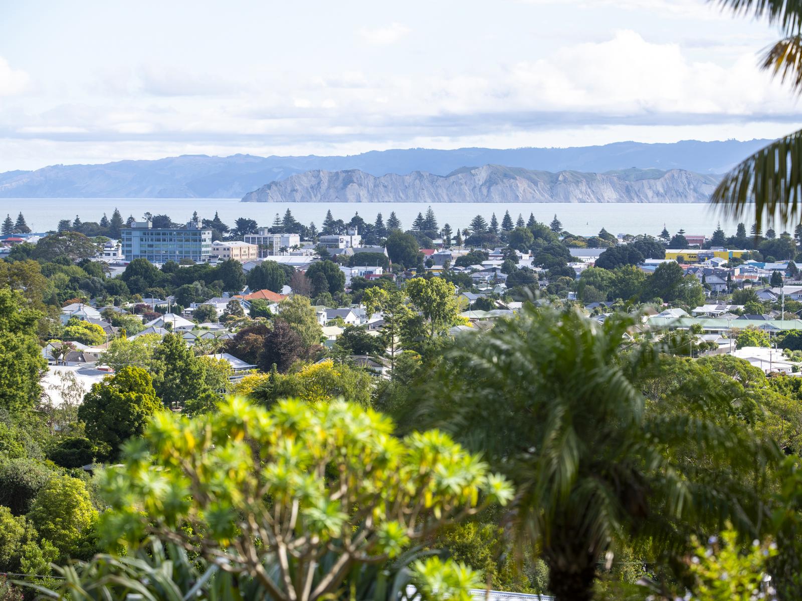 194 Ballance Street, Whataupoko