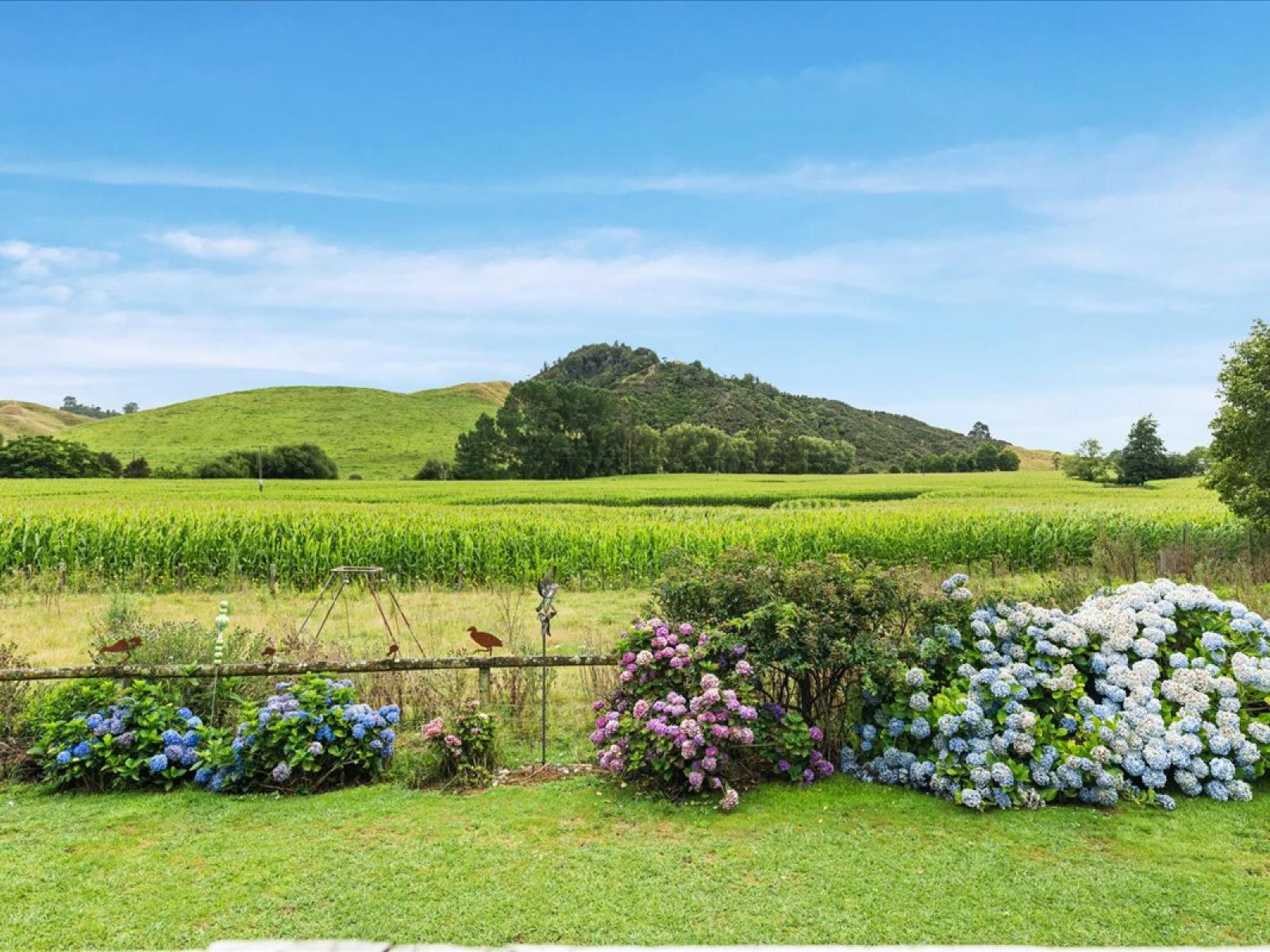 280 Kaitaringa Road, Aria