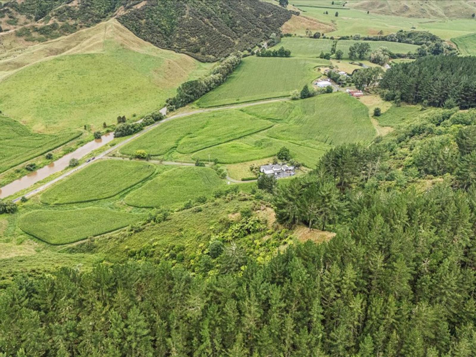 280 Kaitaringa Road, Aria