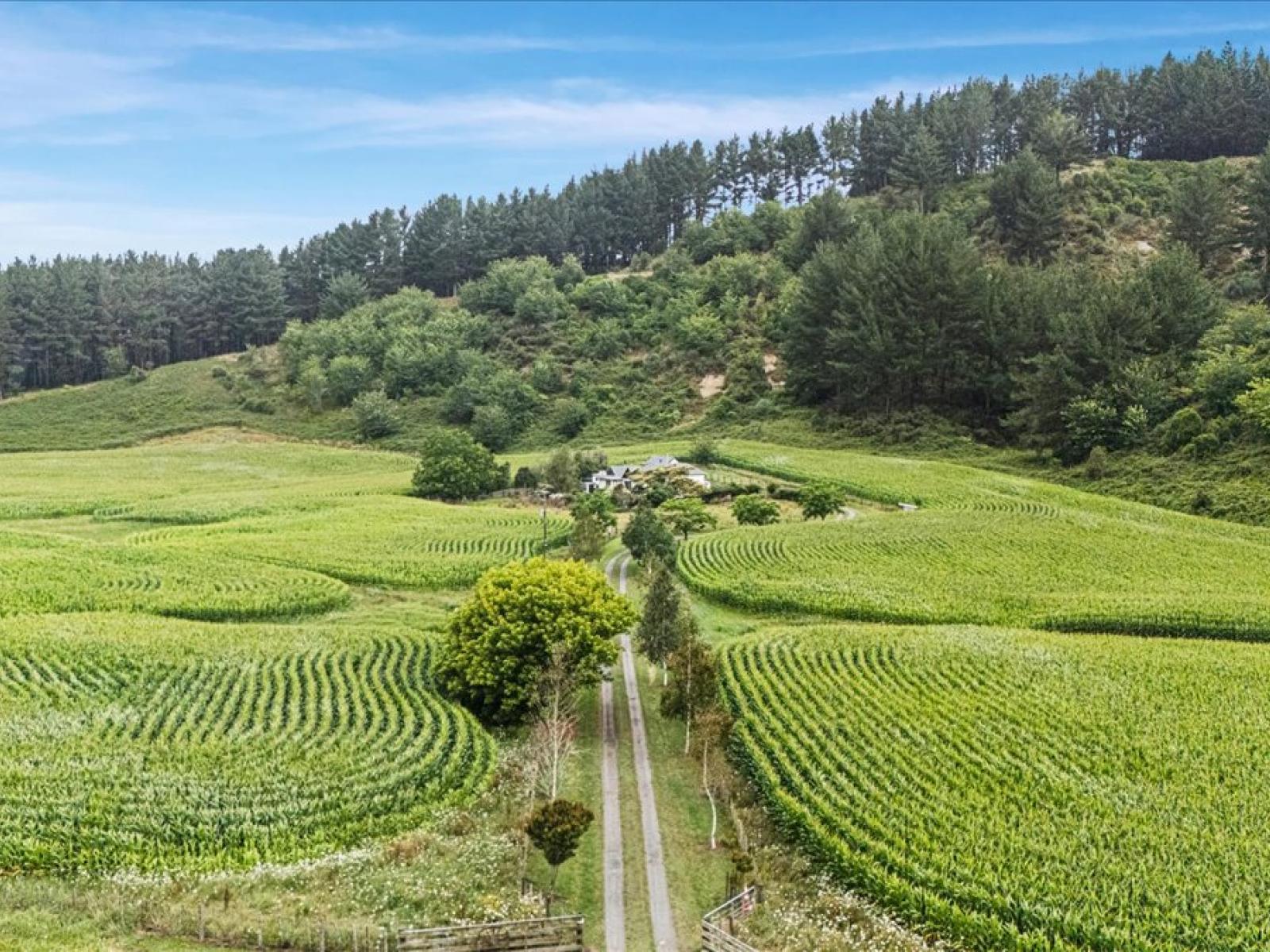 280 Kaitaringa Road, Aria