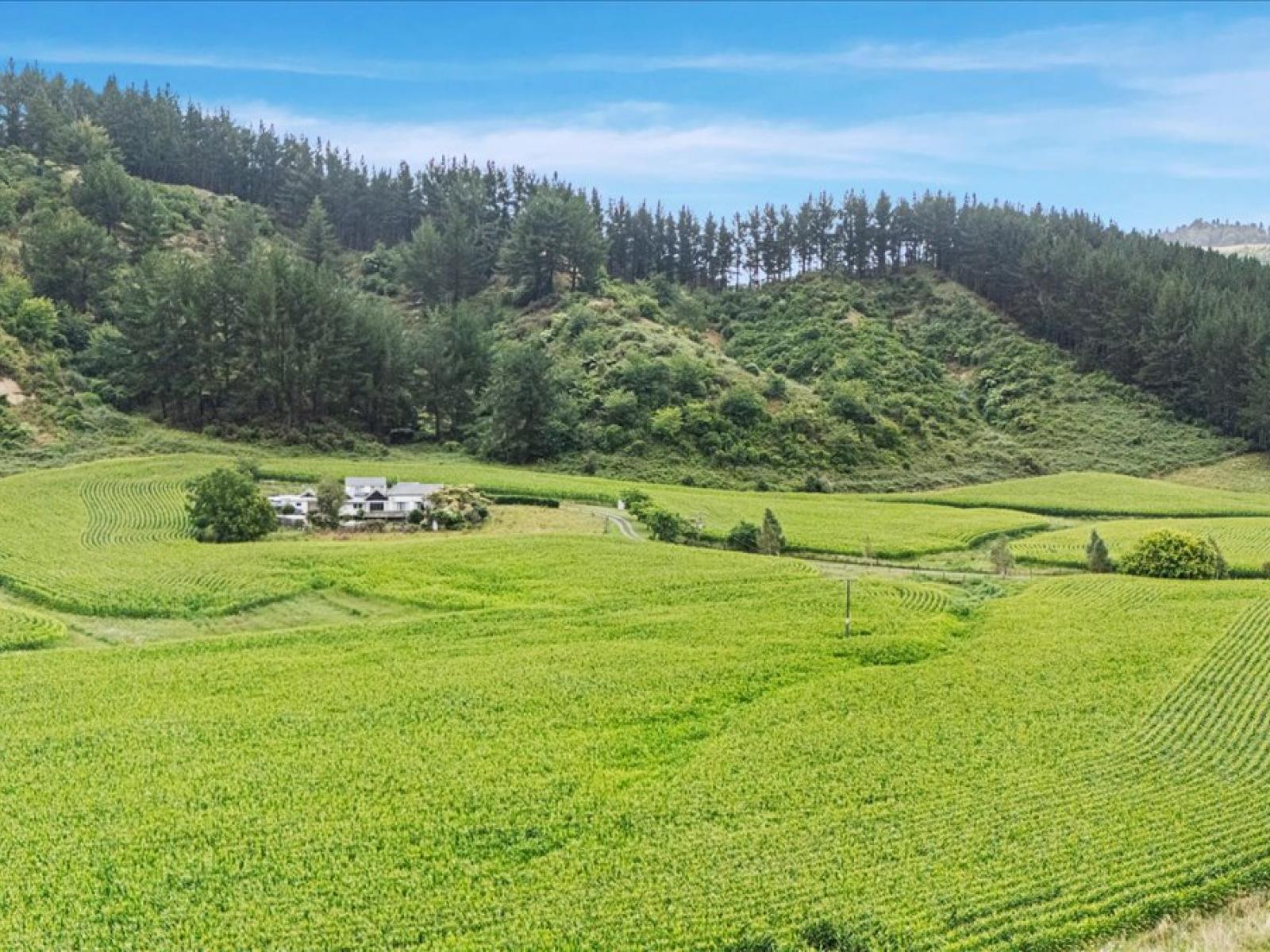 280 Kaitaringa Road, Aria