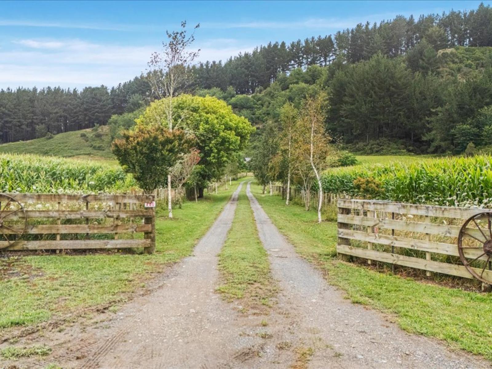 280 Kaitaringa Road, Aria