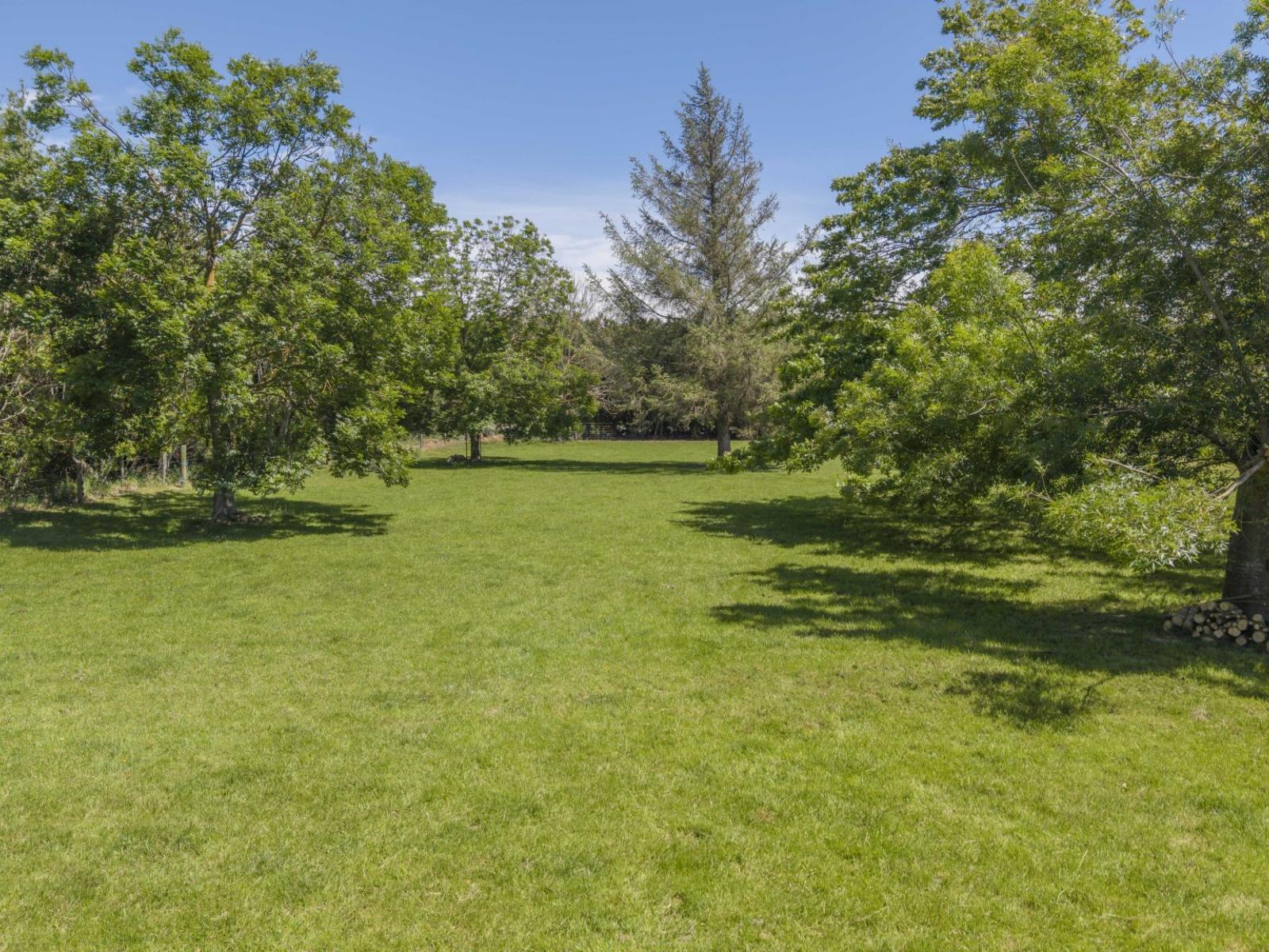 479 Mcjarrows Road, Oxford