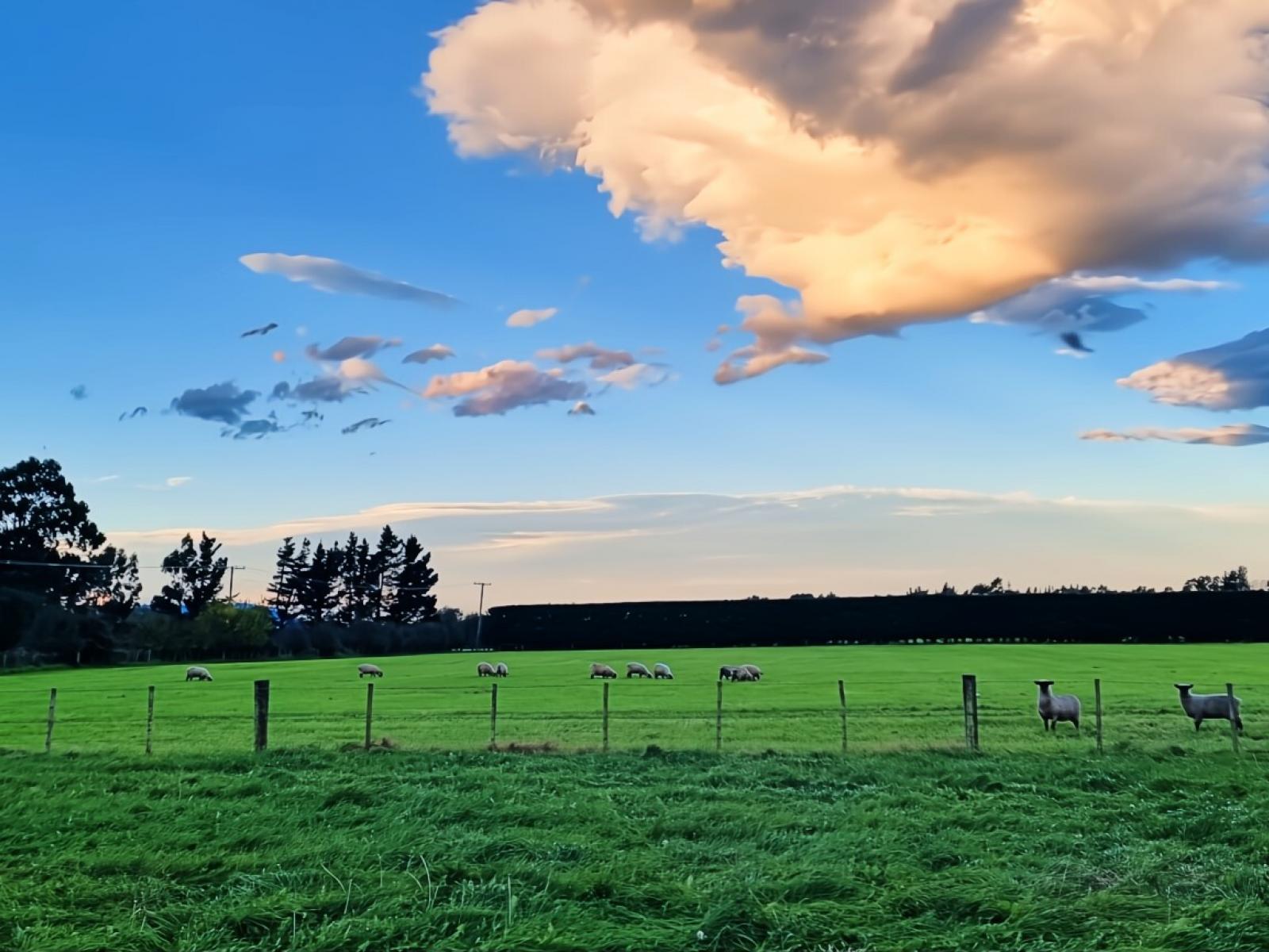 479 Mcjarrows Road, Oxford