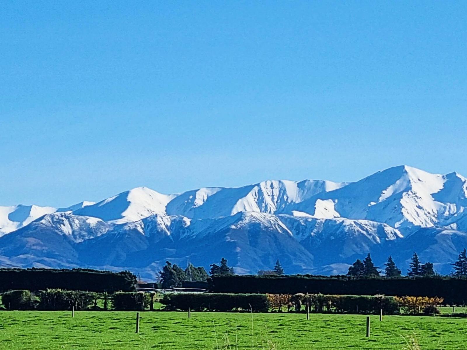 479 Mcjarrows Road, Oxford