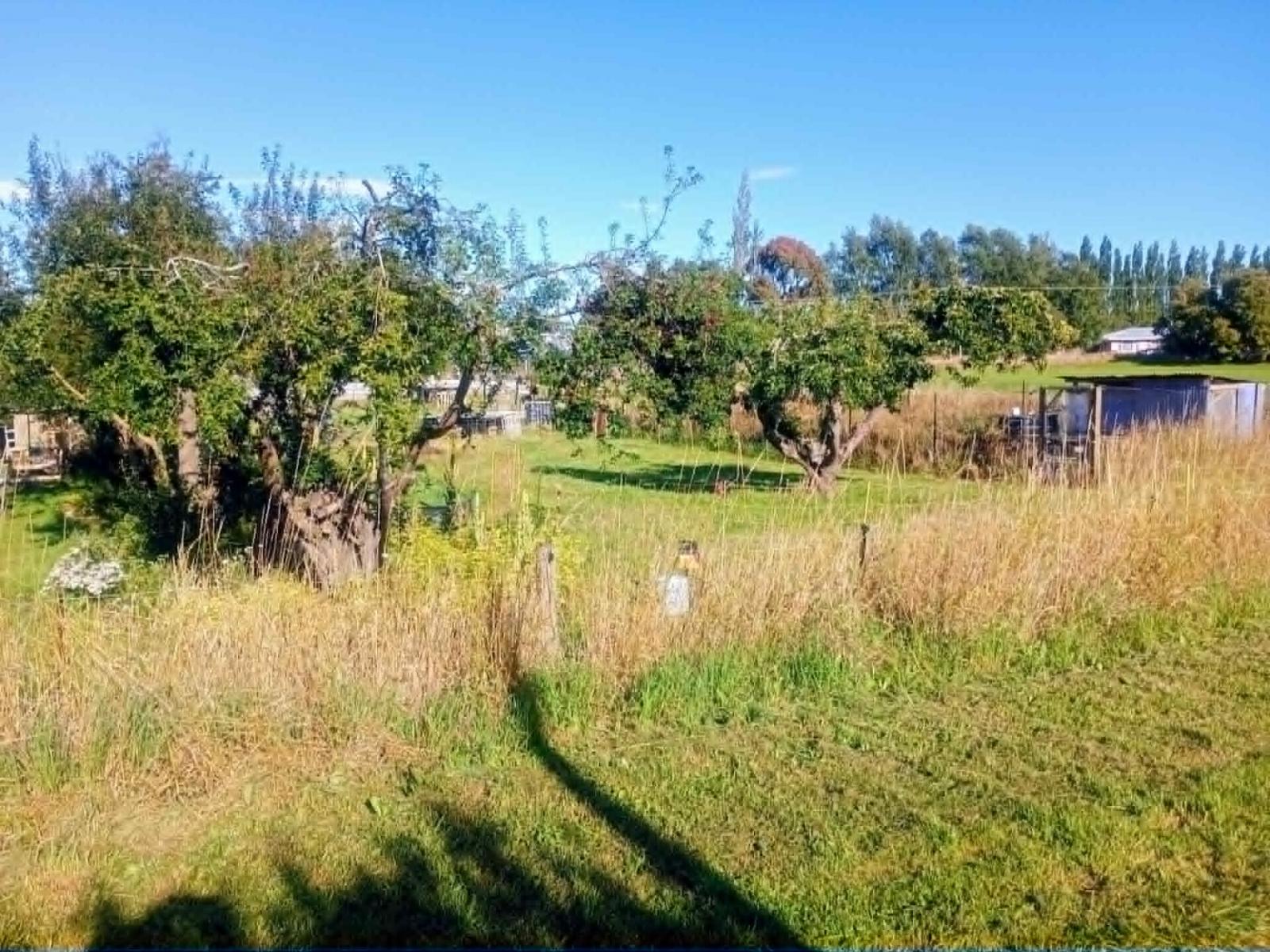 Middle Street, Reidston