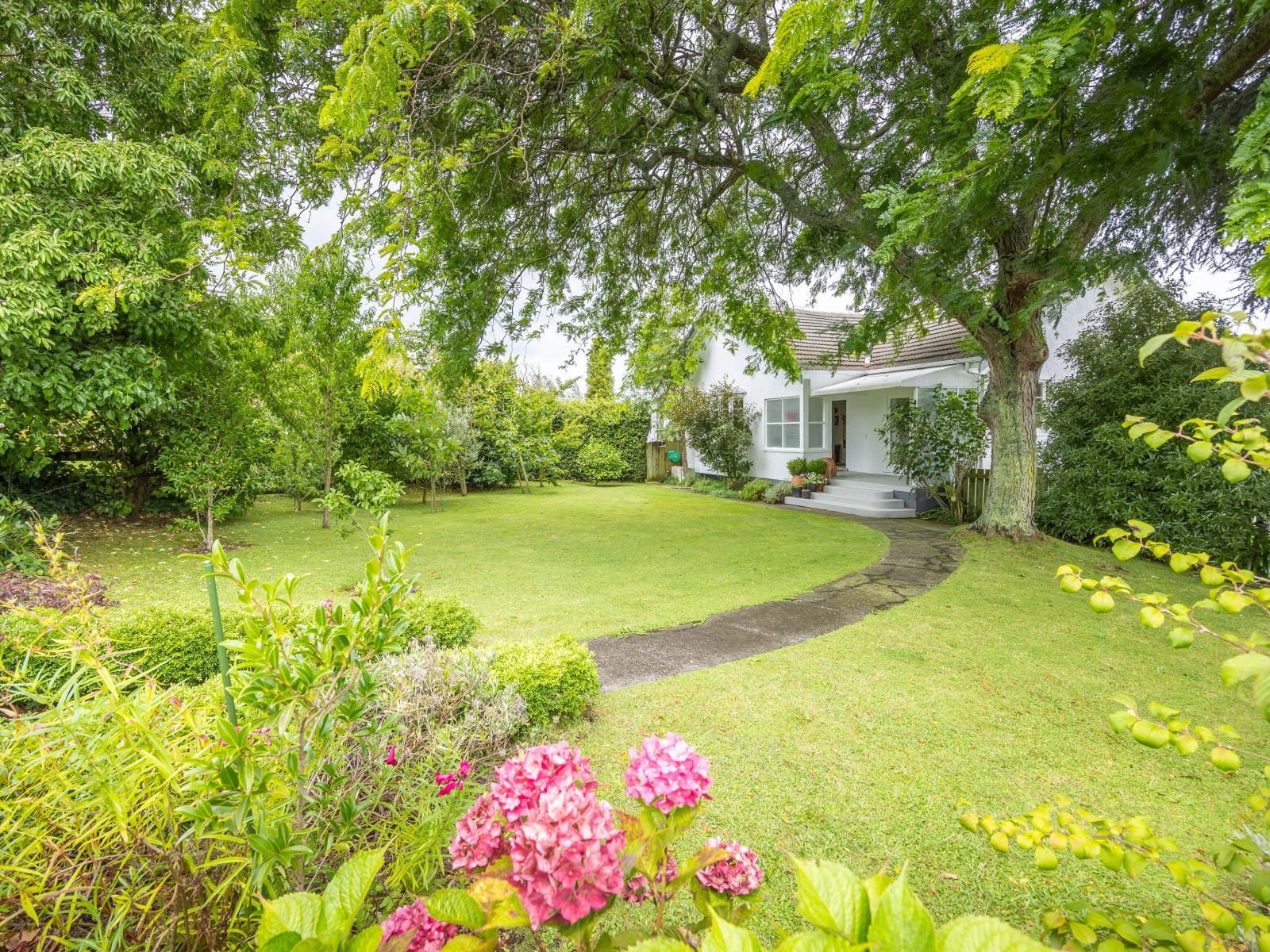 337 Wallace Terrace, Te Awamutu
