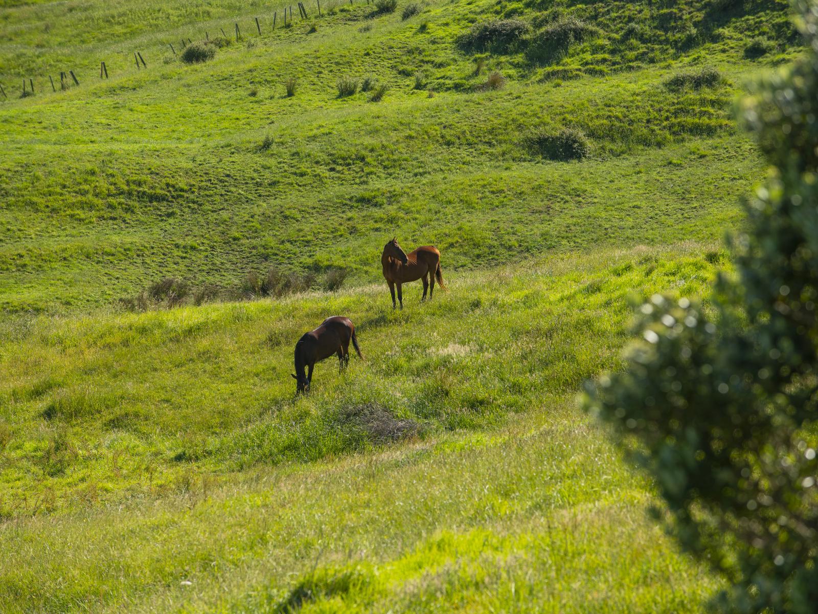 153 Wheatstone Road, Wainui
