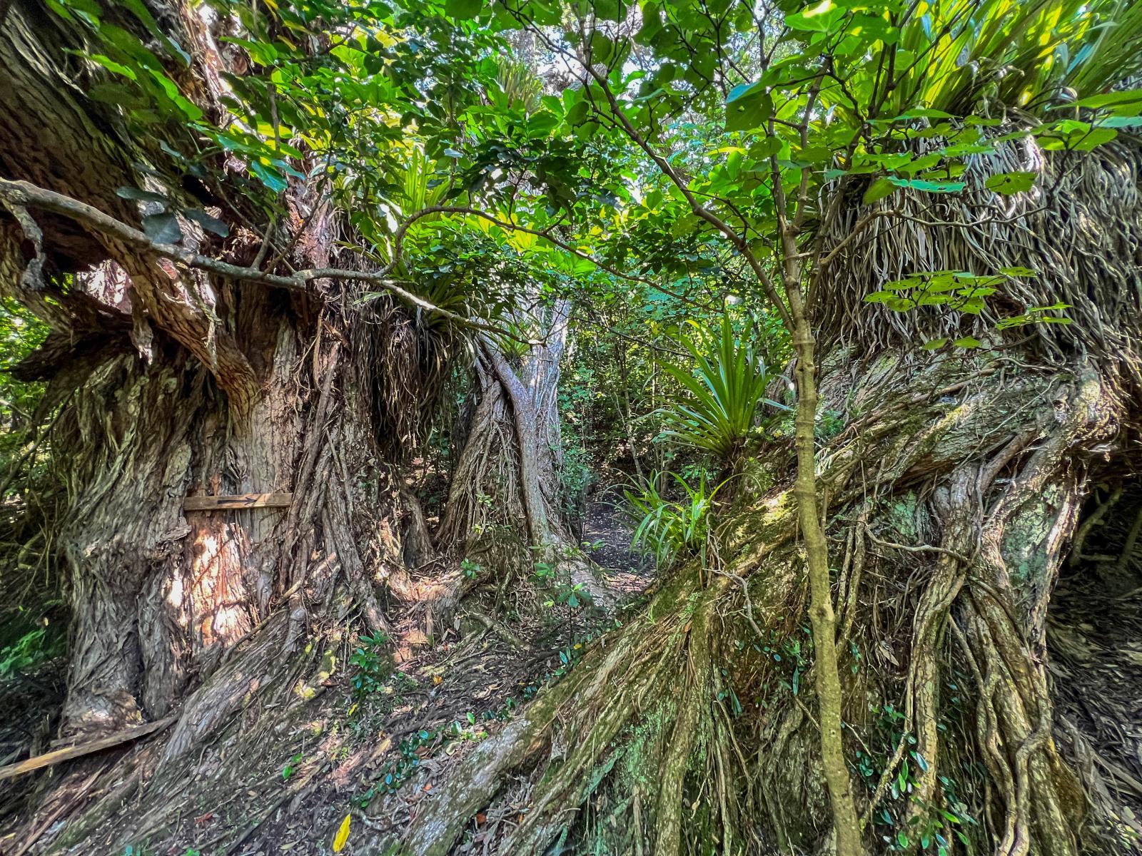 248 Ohiwa Harbour Road, Opotiki