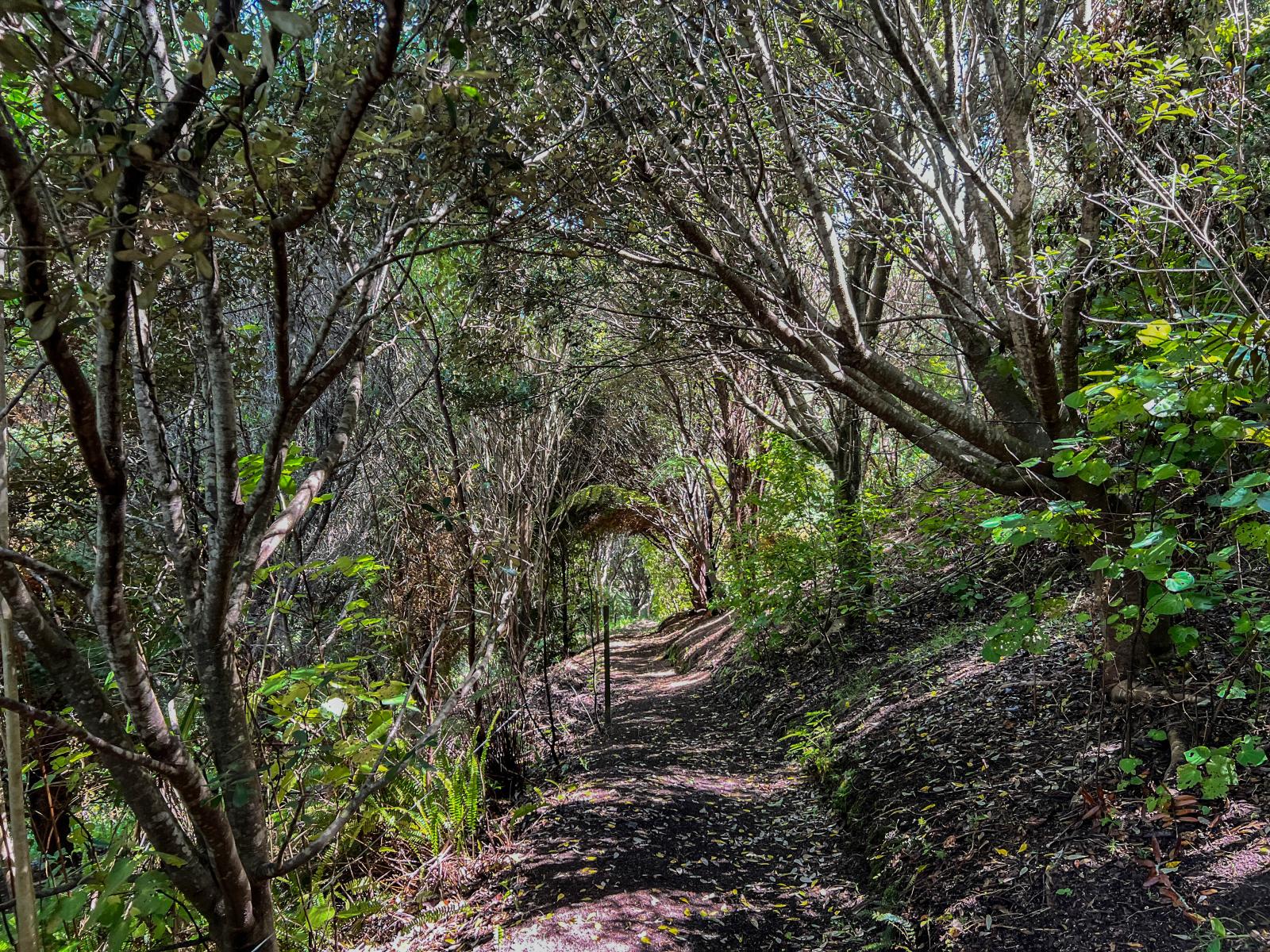 248 Ohiwa Harbour Road, Opotiki