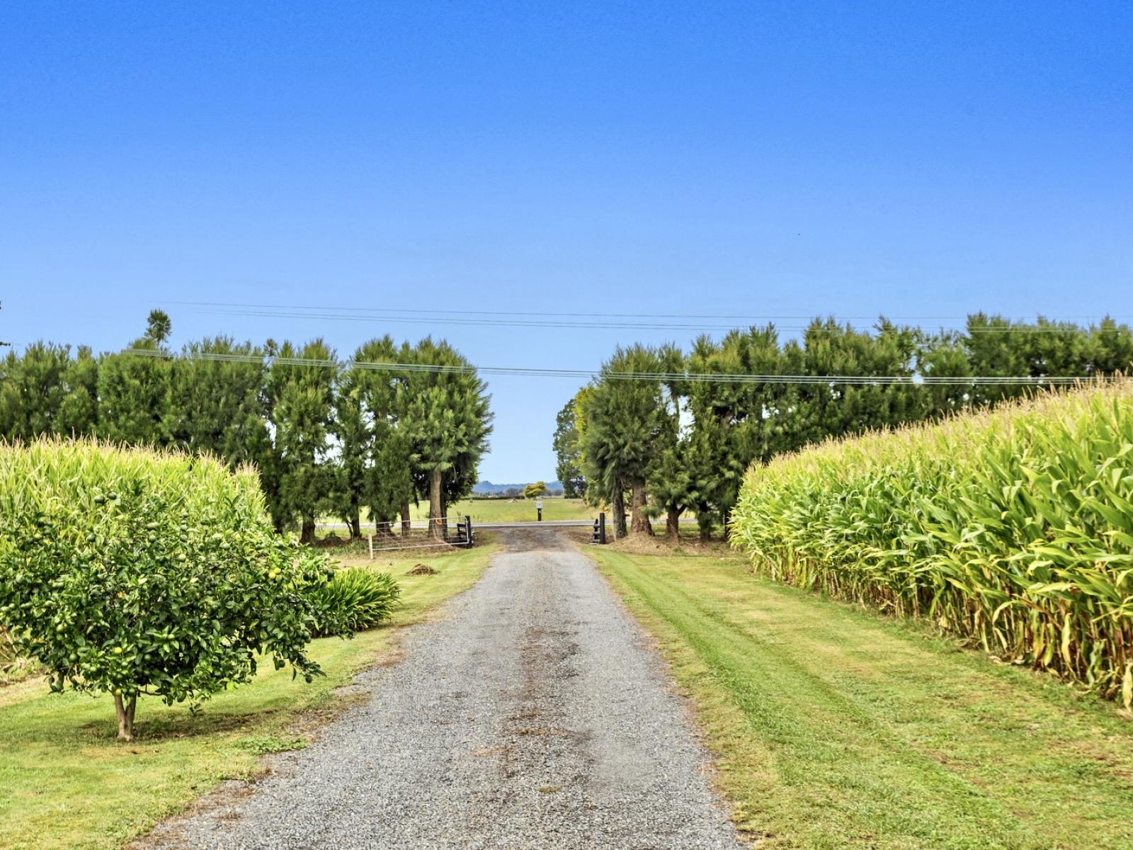 164 Otakiri Road, Edgecumbe