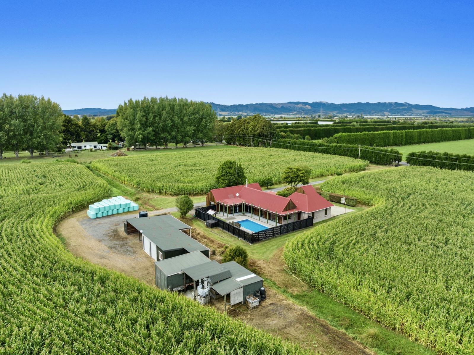 164 Otakiri Road, Edgecumbe