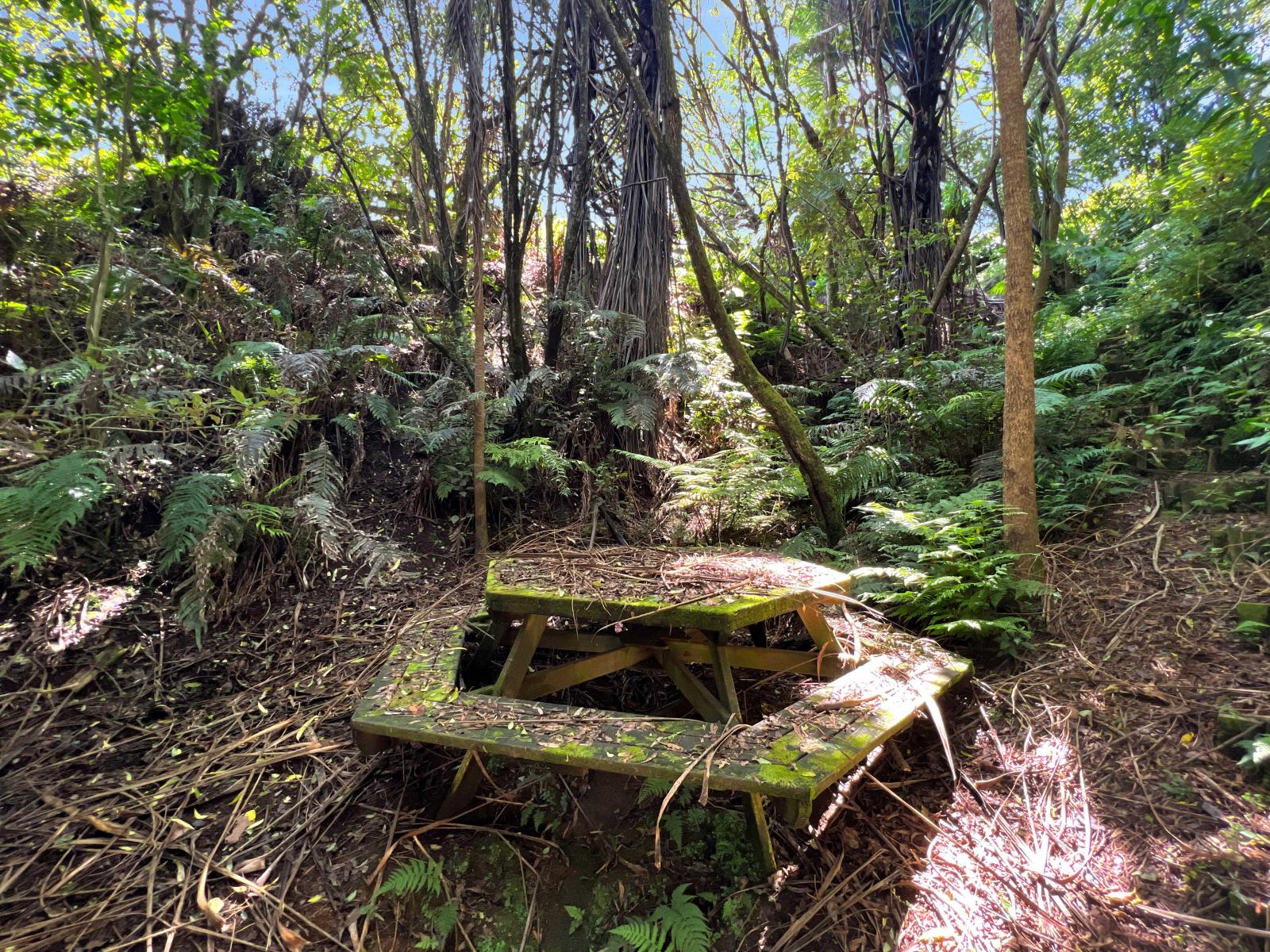 1377E Manawahe Road, Manawahe