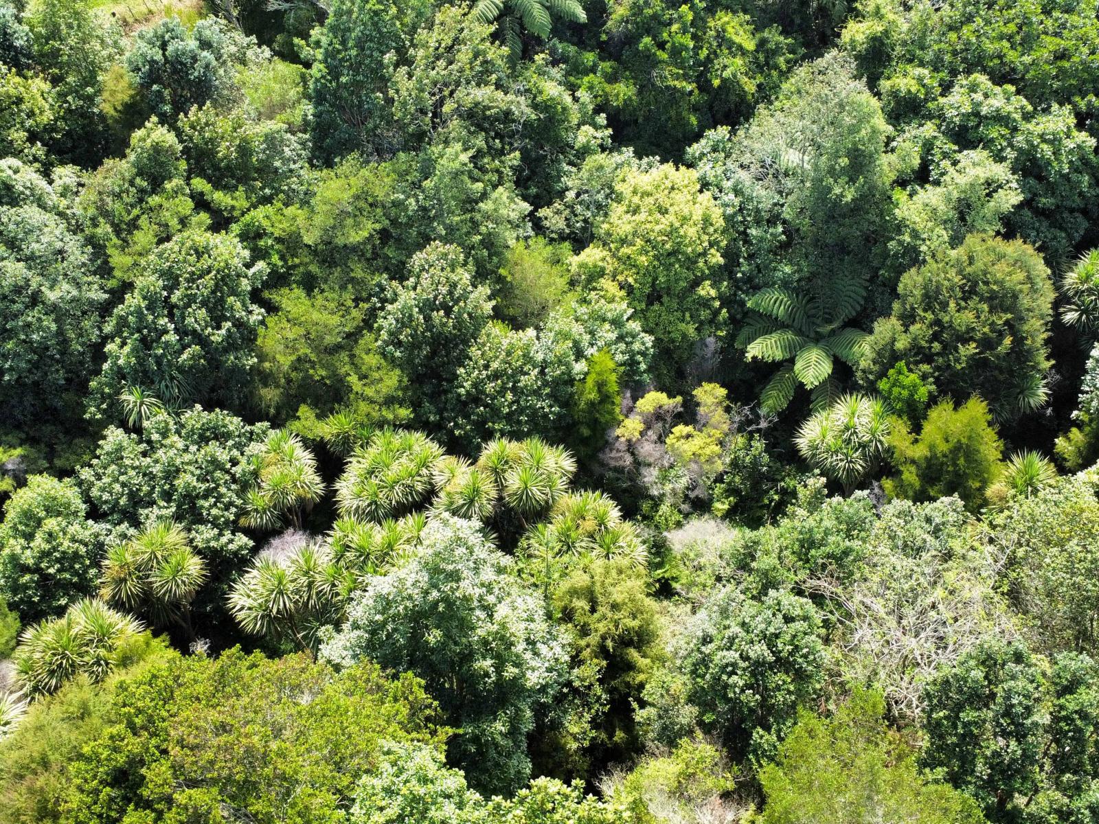 1377E Manawahe Road, Manawahe