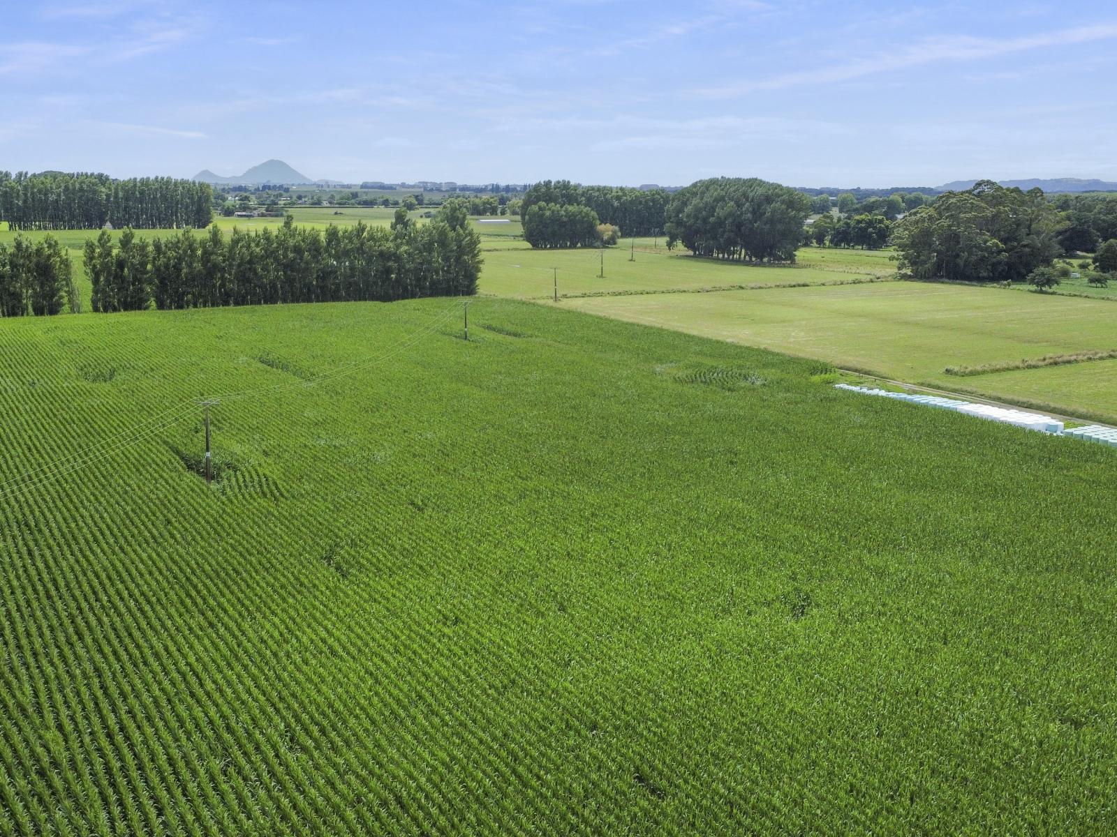 434-454 Awakeri Road, Edgecumbe