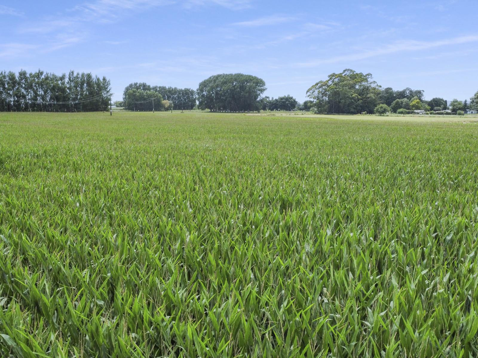 434-454 Awakeri Road, Edgecumbe