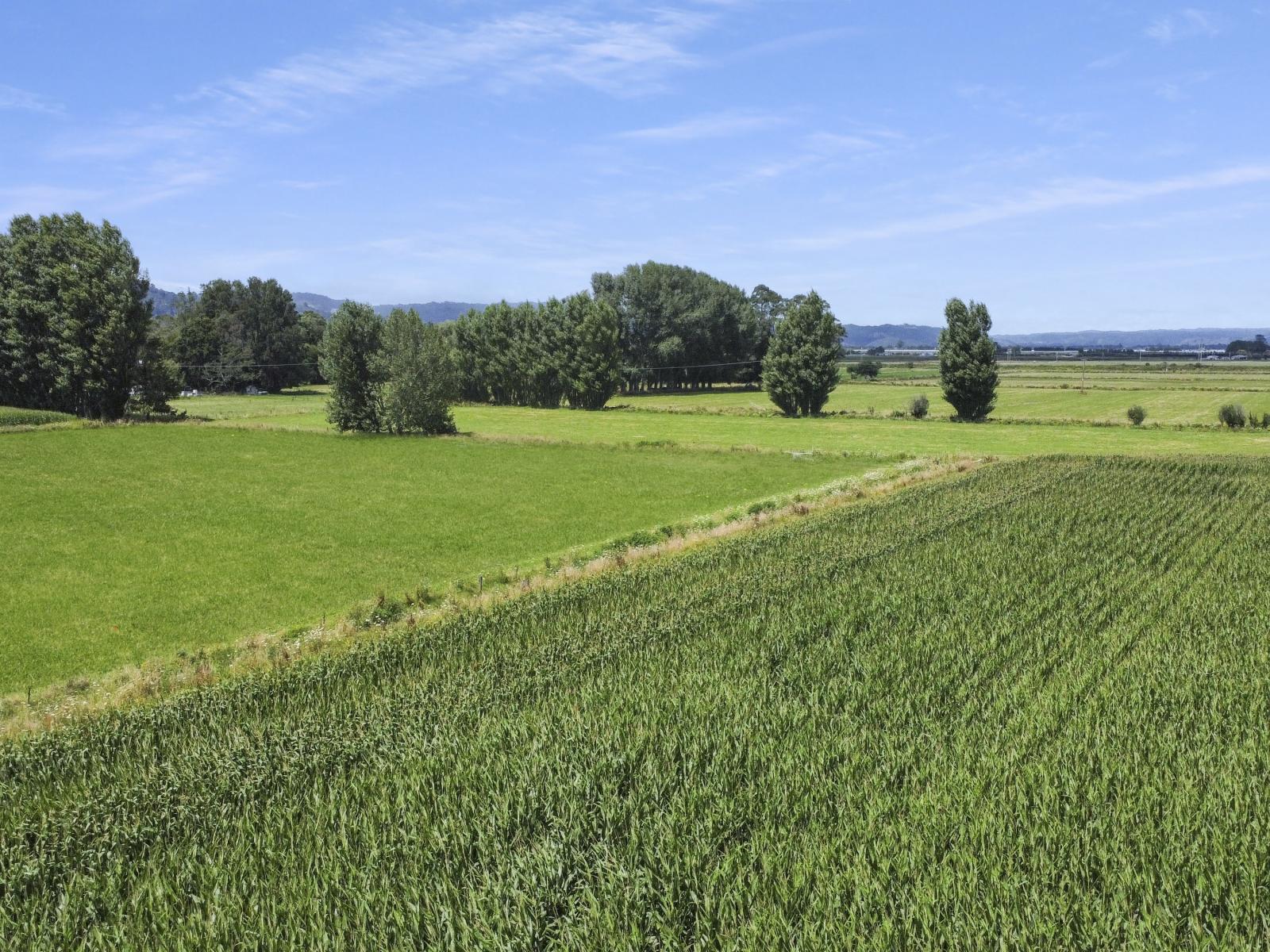 434-454 Awakeri Road, Edgecumbe