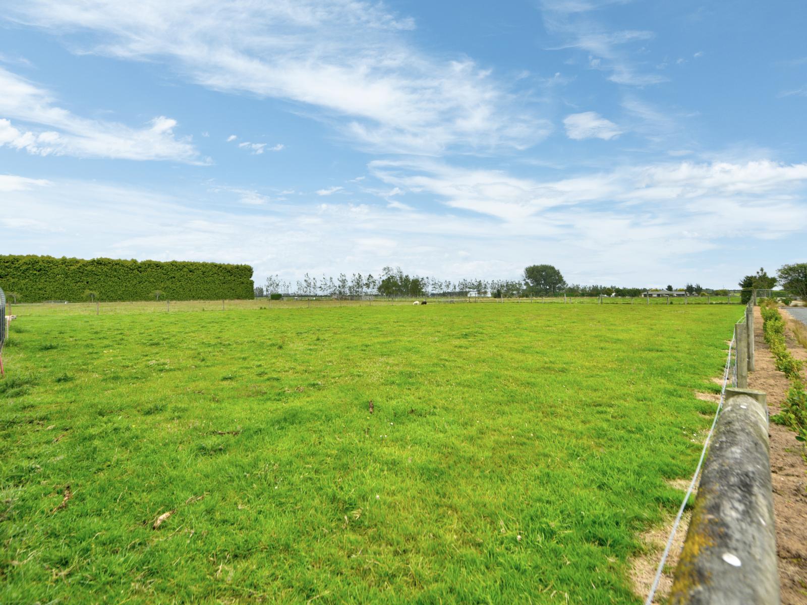 11 Tui Place, Edendale