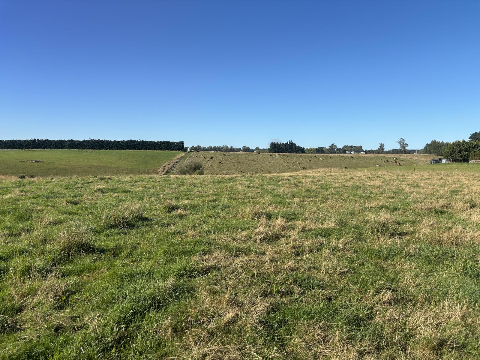 Rosebrook Road, Claremont