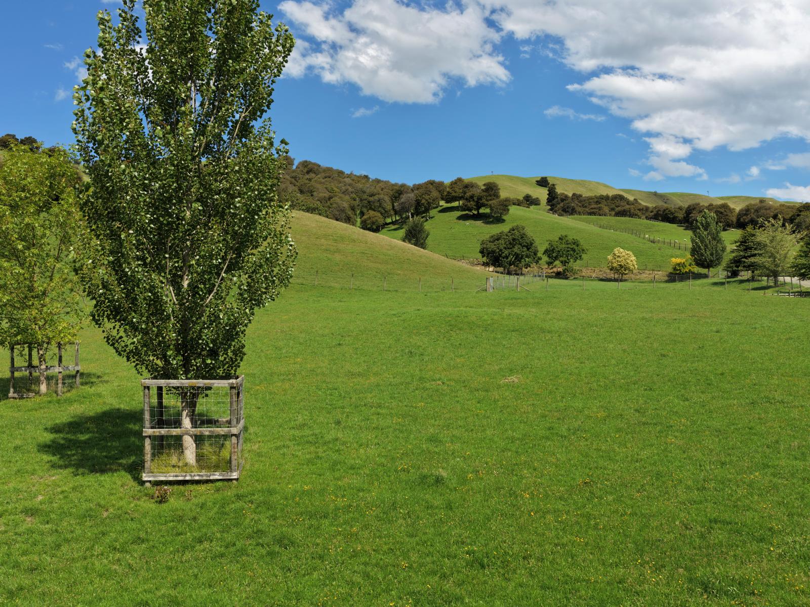 455 Anaroa Road, Raukawa 