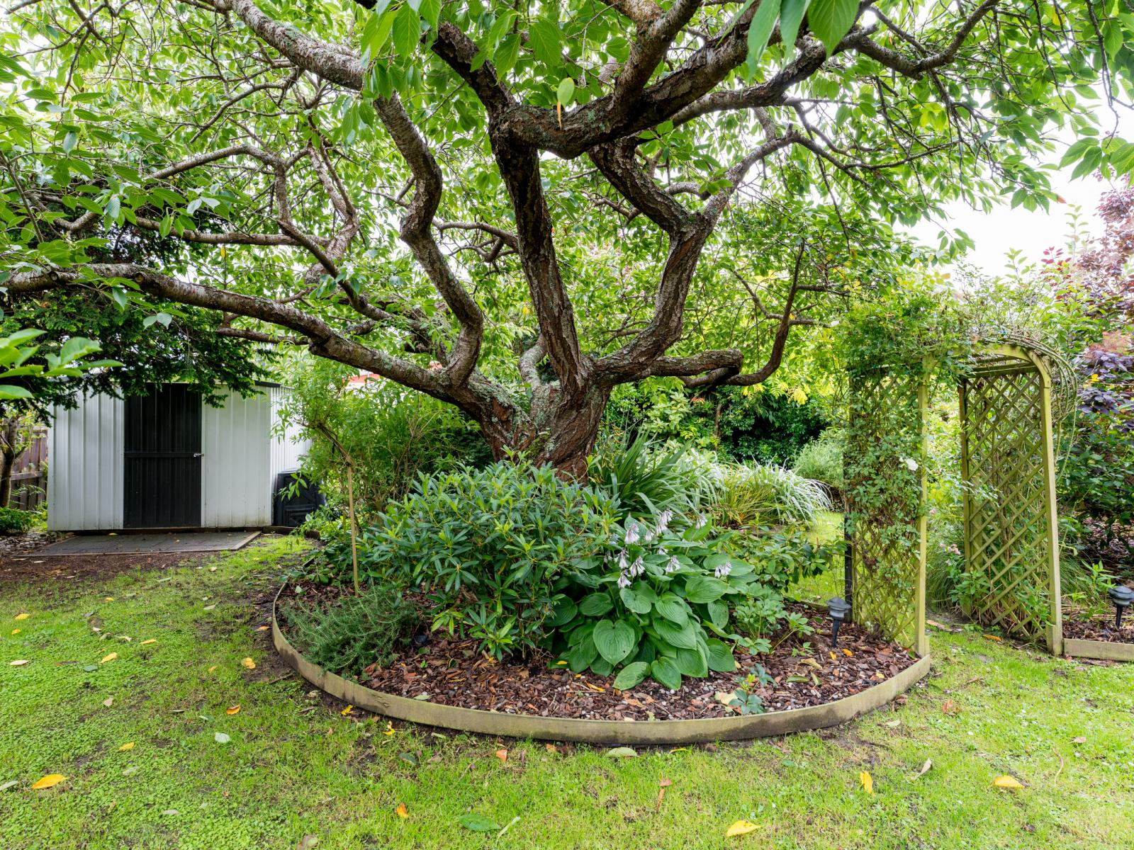 3 Rimu Court, Mosgiel