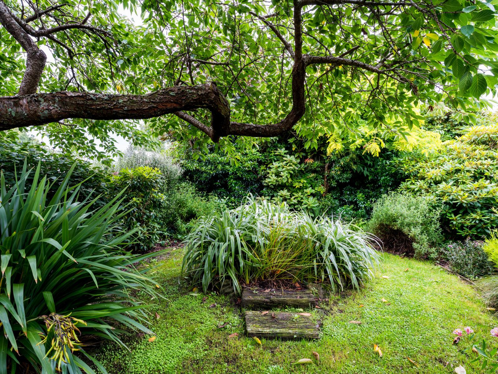 3 Rimu Court, Mosgiel