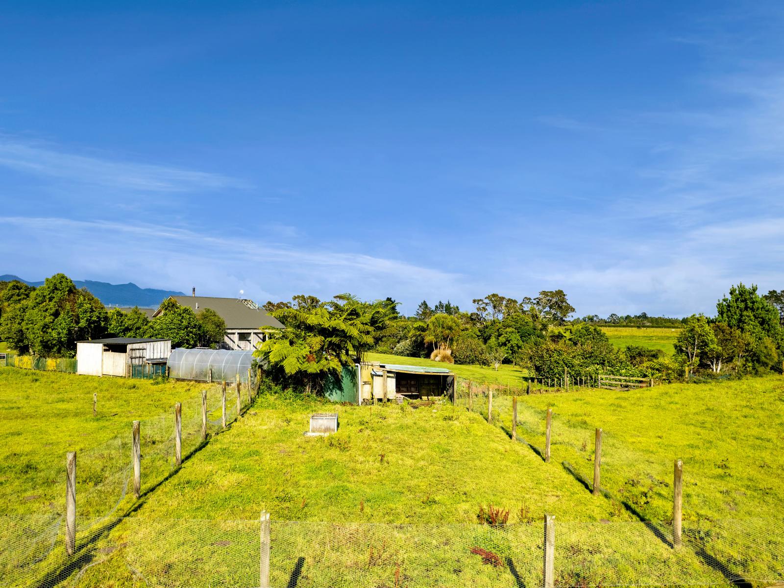 125 Bedford Road, Kaimiro