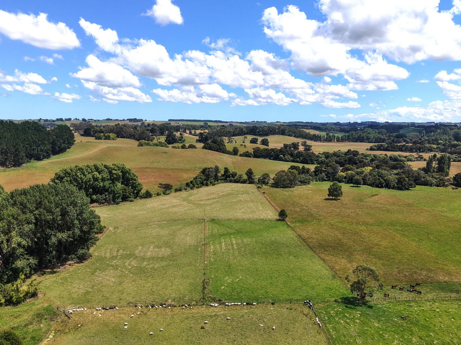 9B Satori Way, Feilding