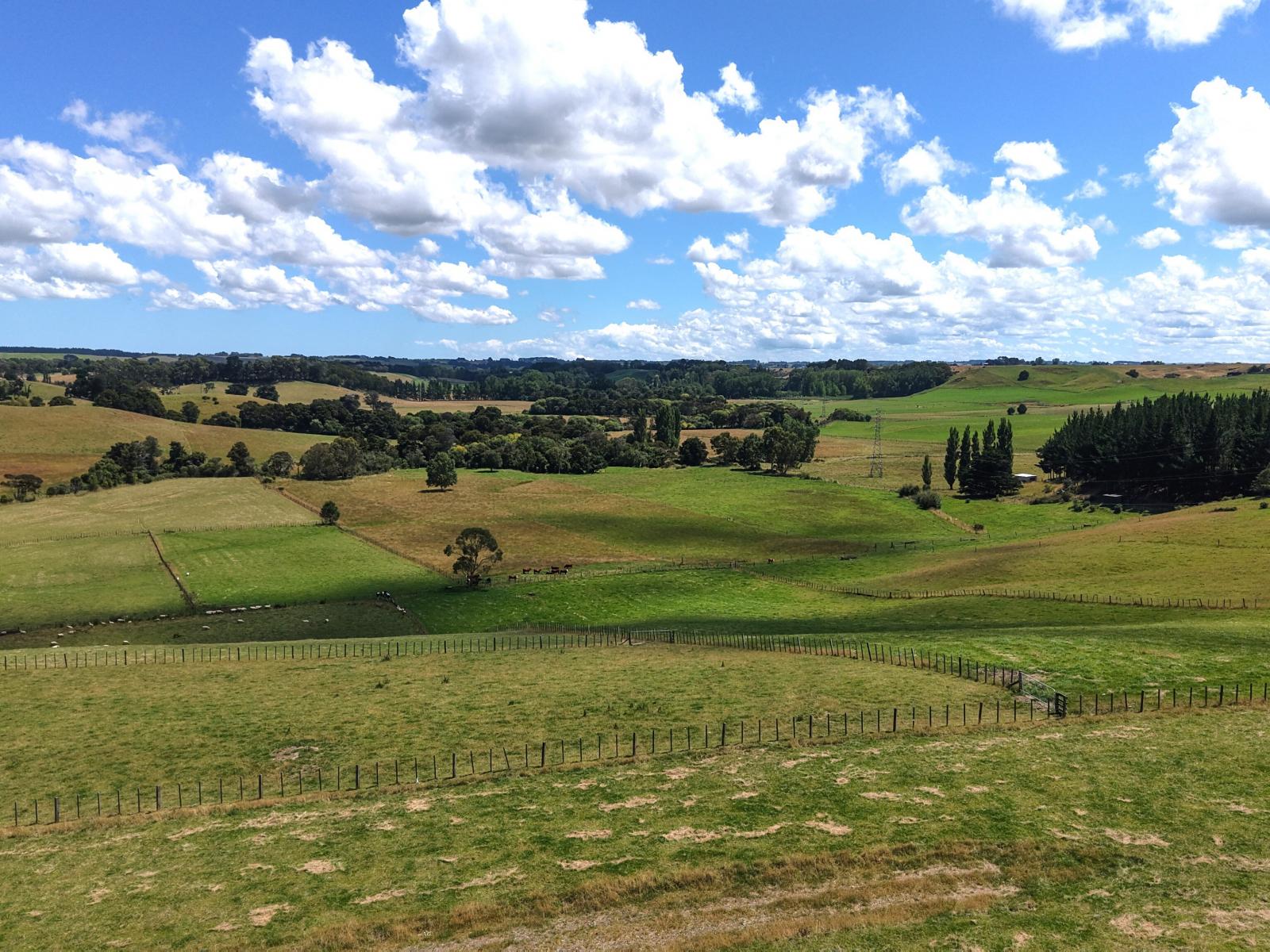 9B Satori Way, Feilding