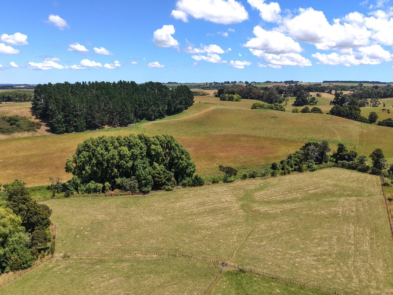 9B Satori Way, Feilding