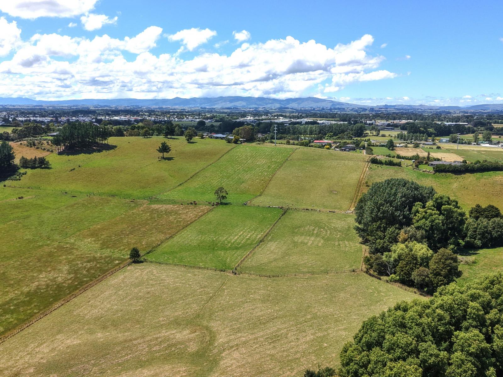 9B Satori Way, Feilding