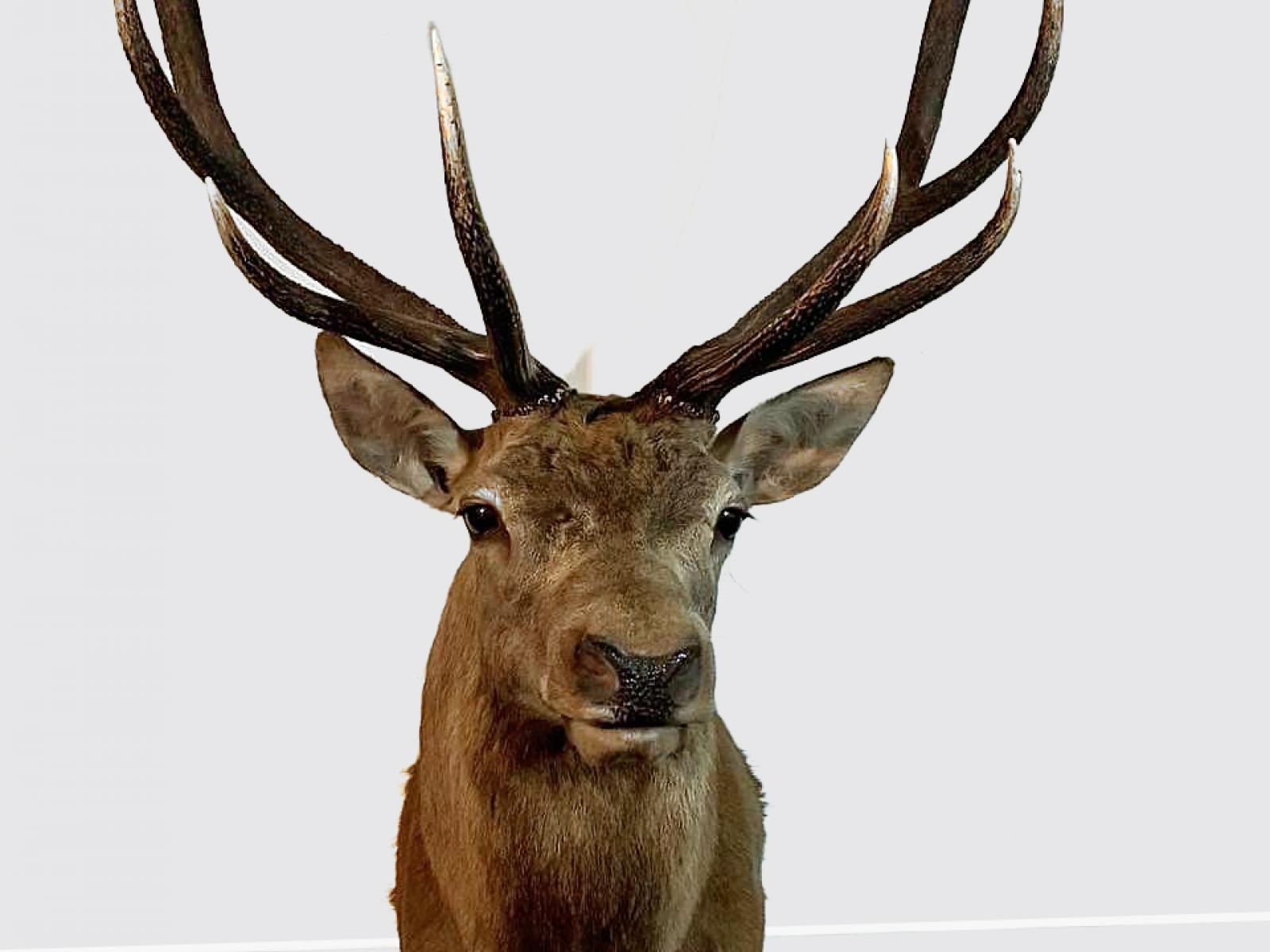 172 Kakariki West Road, Eketahuna