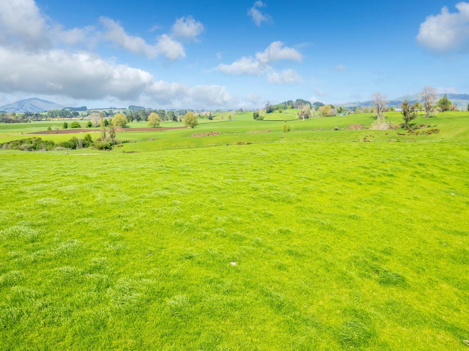 Lot 3 Bird Road, Pirongia