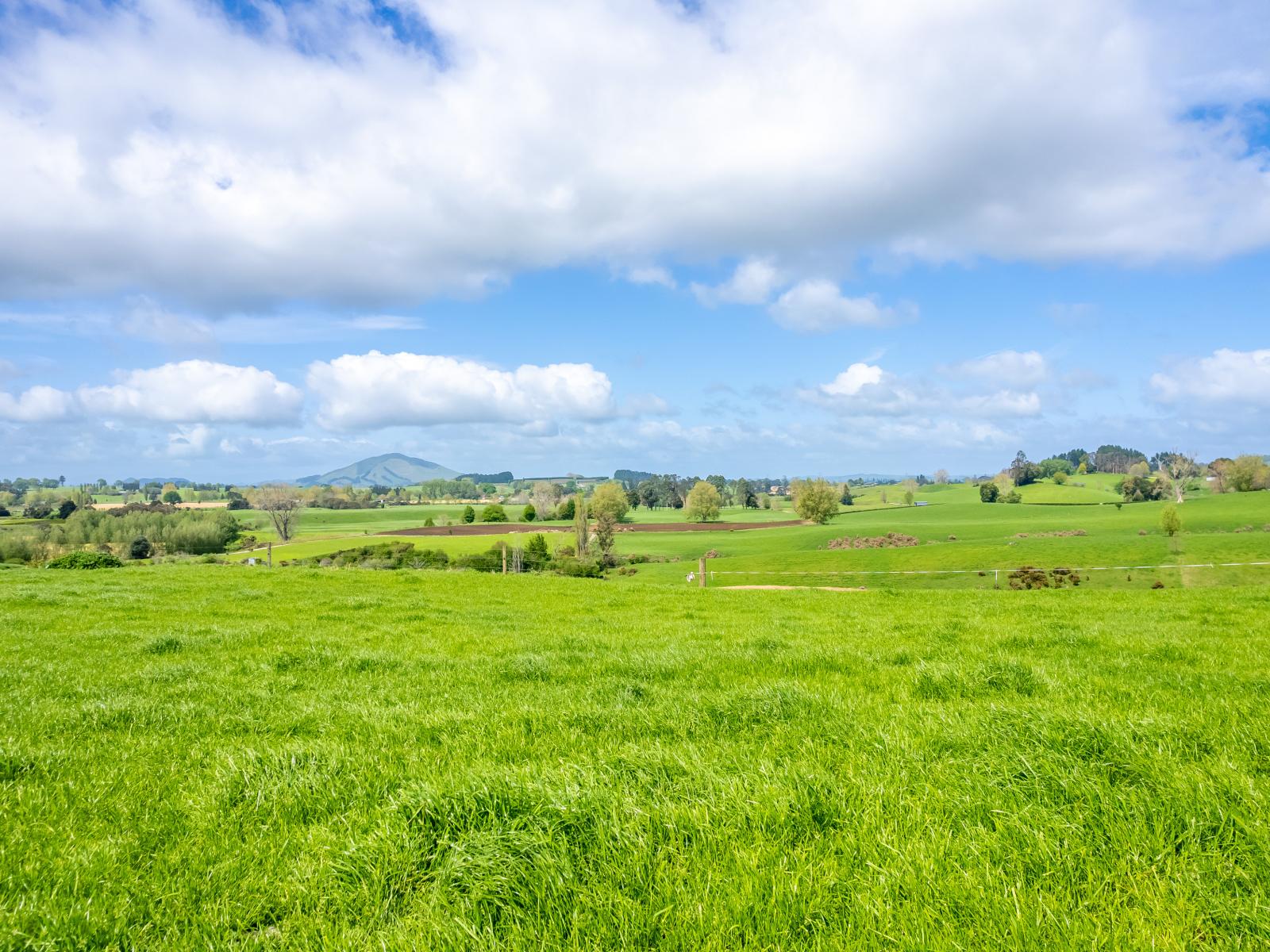 Lot 3 Bird Road, Pirongia