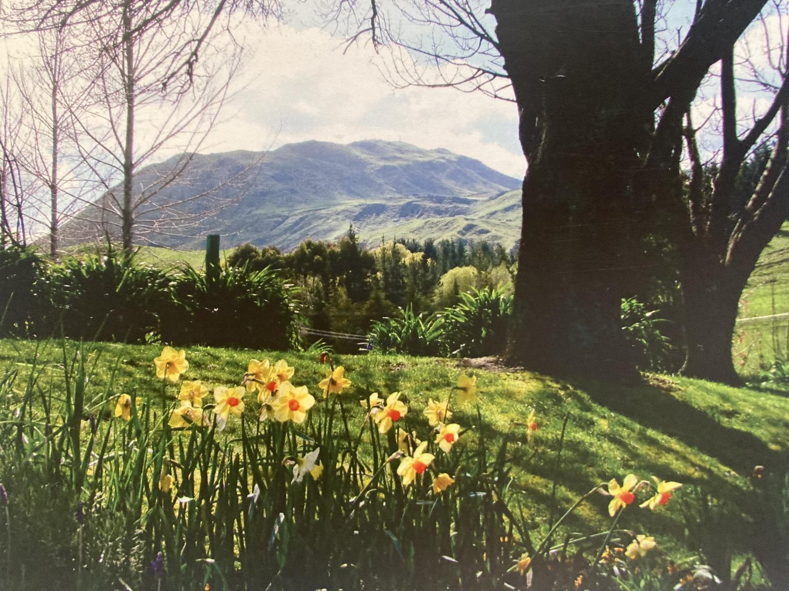 1664 Kahuranaki Road, Kahuranaki