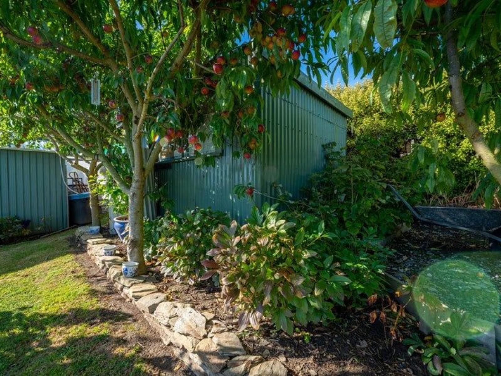 17 Anderson Street, Kakanui