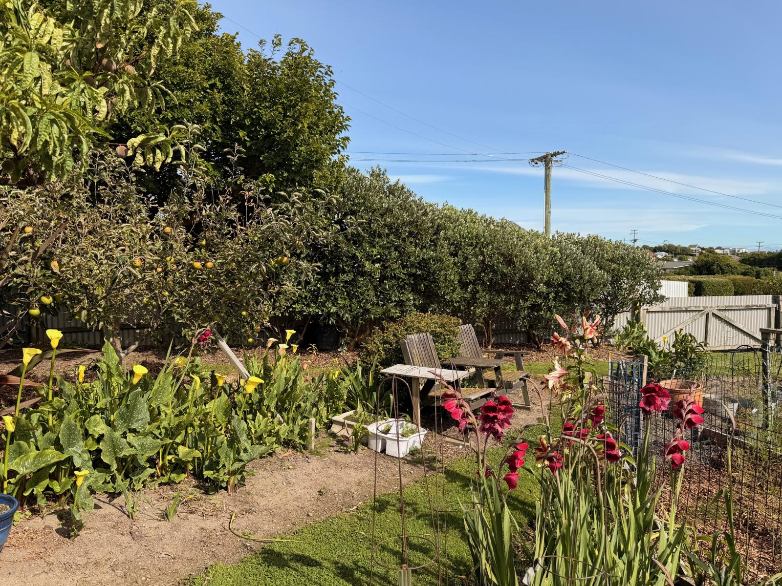 17 Anderson Street, Kakanui