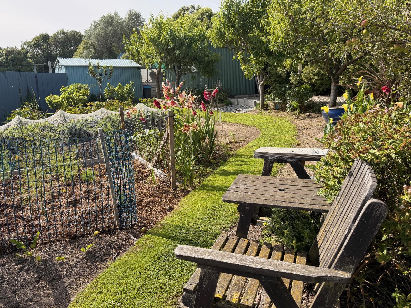 17 Anderson Street, Kakanui