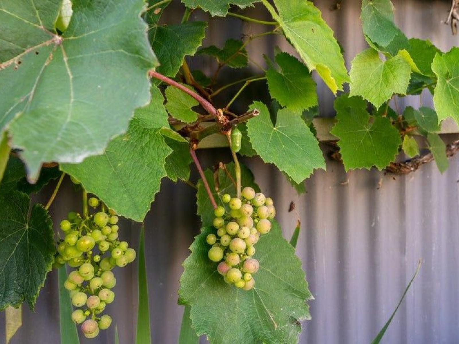 17 Anderson Street, Kakanui